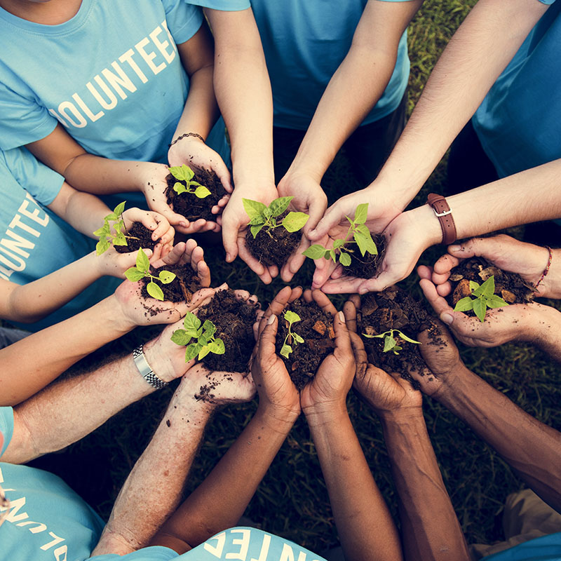 Many diverse hands hold handfuls of soil with sprouting plants in a circle